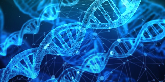 DNA Helix